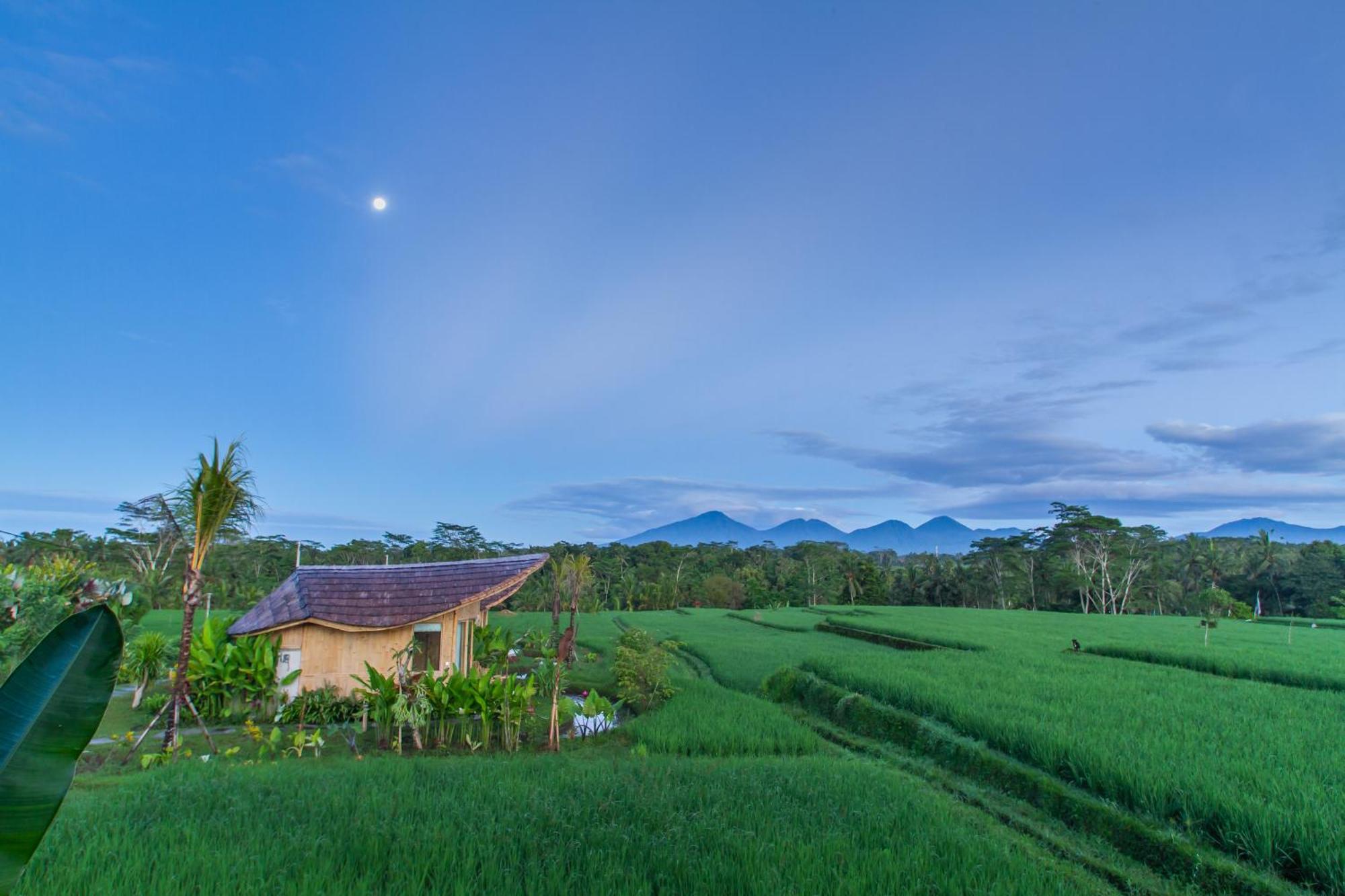 Ipian Cinta By Pramana Villas Ubud Eksteriør billede