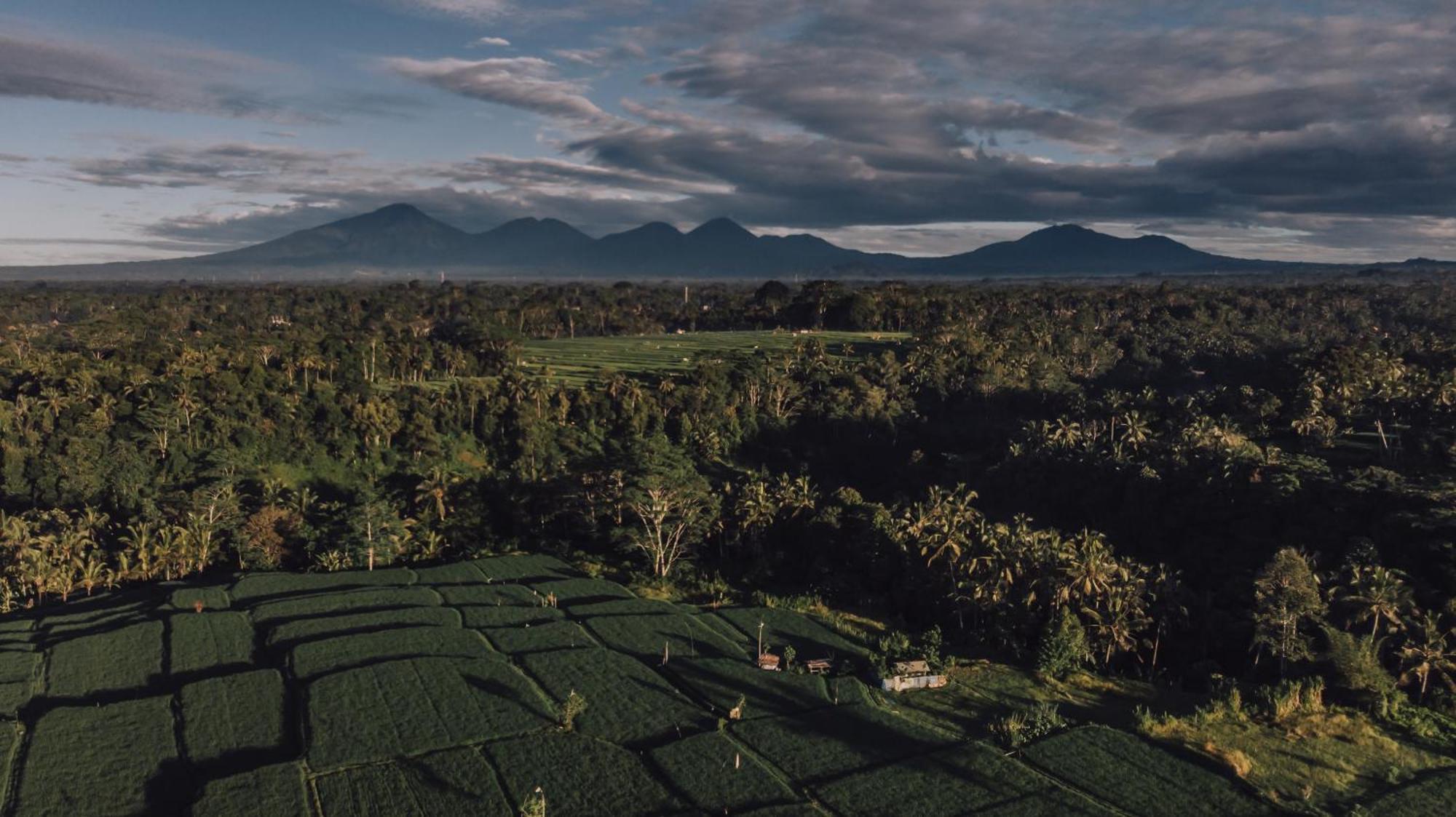 Ipian Cinta By Pramana Villas Ubud Eksteriør billede