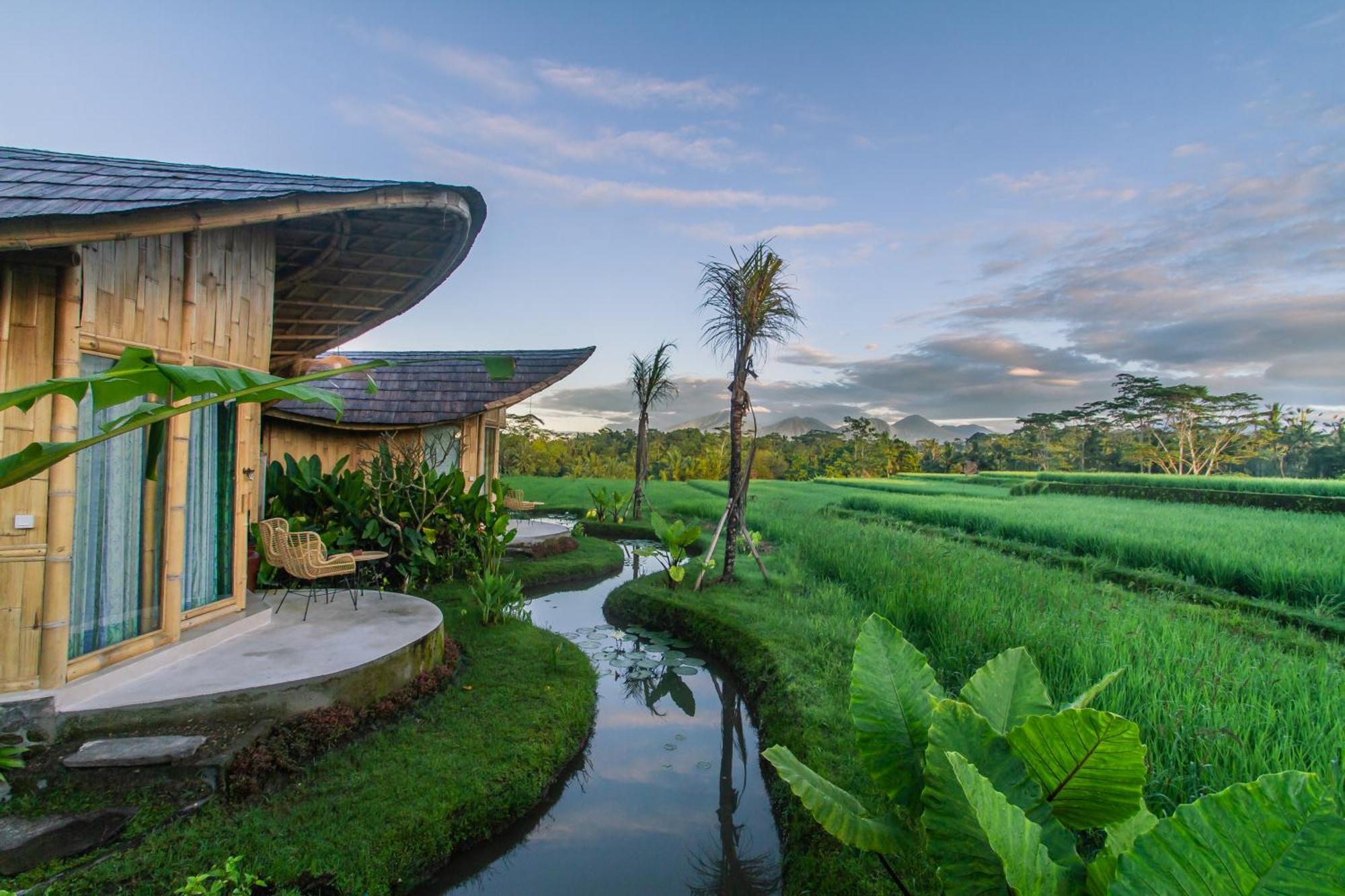 Ipian Cinta By Pramana Villas Ubud Eksteriør billede